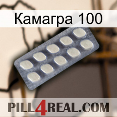 Камагра 100 08